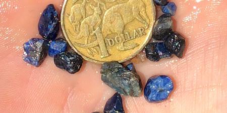 Photo of one dollar coin and some blue stones