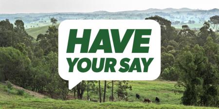 Cows in paddock surrounded by trees with have your say graphic over the top