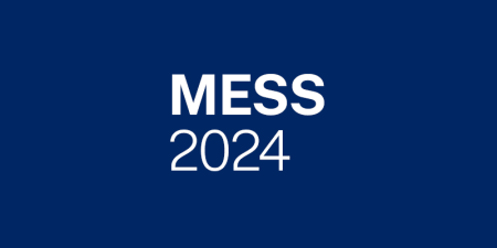 MESS 2024